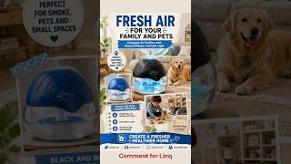 Best Air Purifier for Fresh Clean Air and Better Sleep at Home