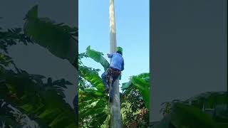 spc pole climbing electrician electricaljob spc