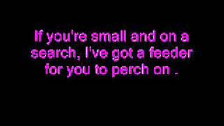 I Like Birds - Eels (With Lyrics on Screen) chords