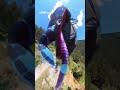 Pilotka paraglidu přežila srážku s Cessnou nad rakouským Zell am See