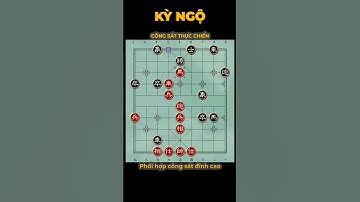 [Sát Cục Thực Dụng] #33 – Kết Thúc Ván Cờ Đỉnh Cao #Shorts