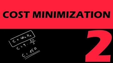 COST MINIMIZATION 2 - microeconomic problems