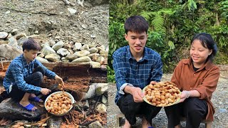 Quang Lanh went to dig up silkworm pupae from palm trees and prepared them into a delicious dish