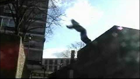 Team Kroniculs 3run sampler