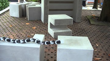 Lola-OP, gap crossing