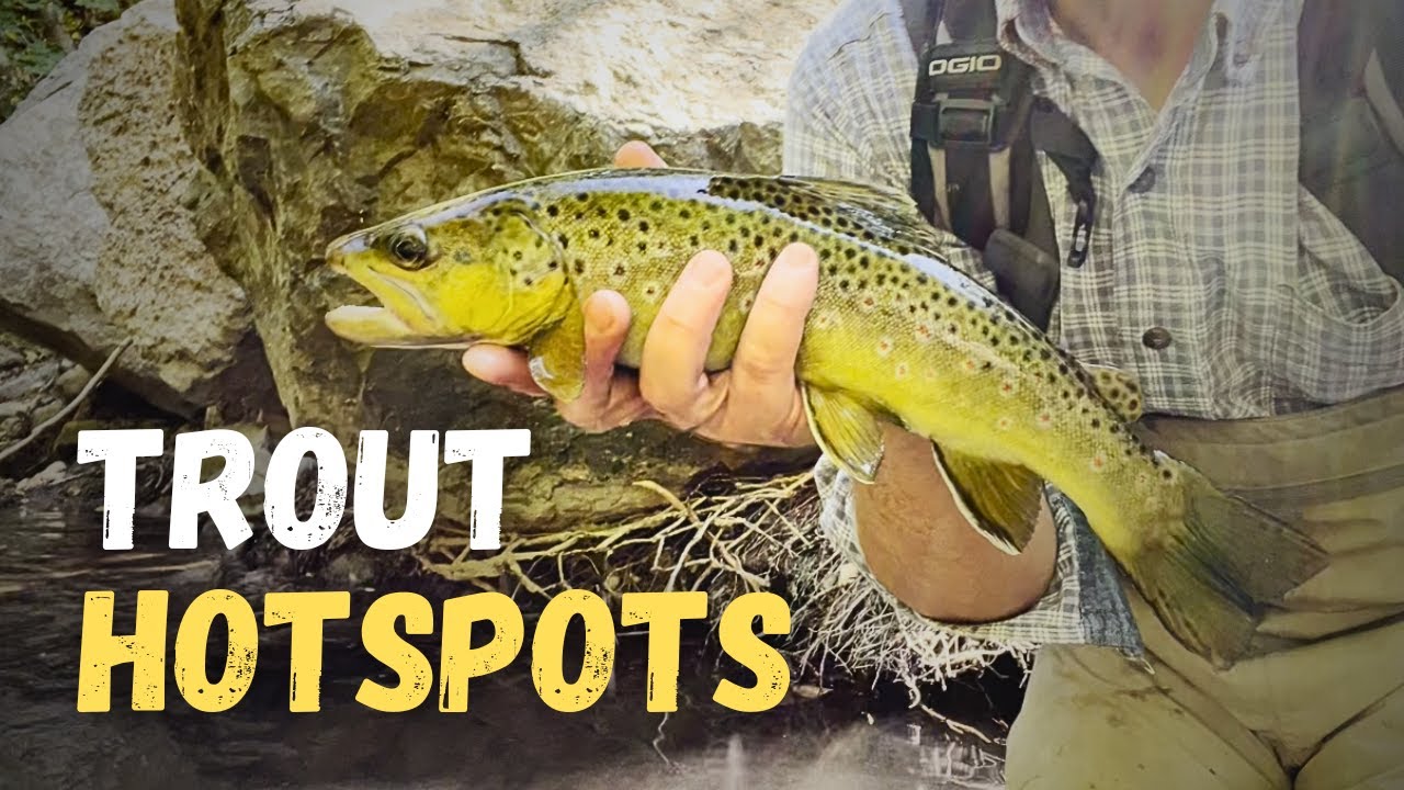Catching a TON of Trout the Easy Way! - YouTube