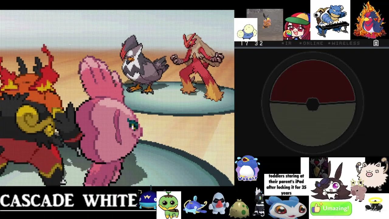 Steers against birds (Cascade White 2 FINALE for now)