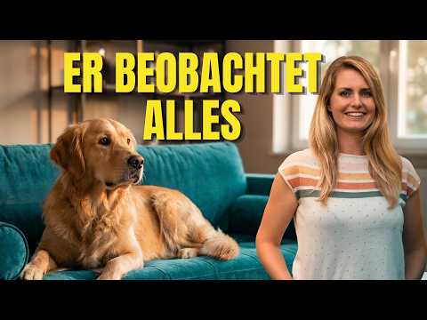 Alltag mit Hund