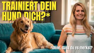 Was dein Hund wirklich lernt (obwohl du es nicht willst)