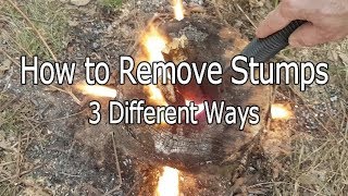 How to Remove Stumps Three Different Ways