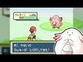 バトルフロンティア制覇のためのラッキー捕獲枠【ポケモン】