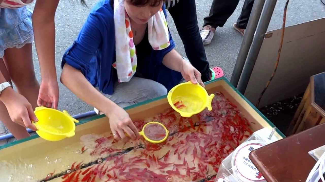 寒河江祭り 金魚すくい Youtube