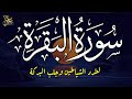 سورة البقرة كاملة لحفظ وتحصين المنزل وجلب البركة تلاوة رائعة  