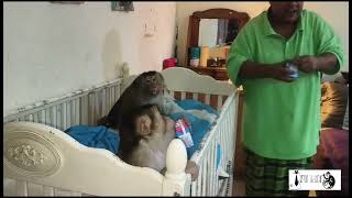 Shakina Starting To Fight Back