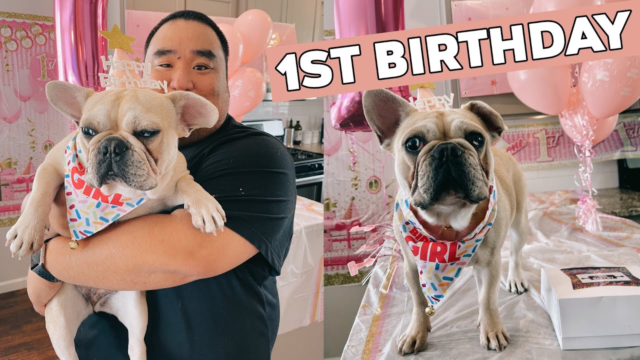 My Dog's FIRST Birthday Party!!