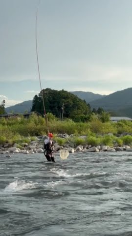 Japanese Ayu fishing catching