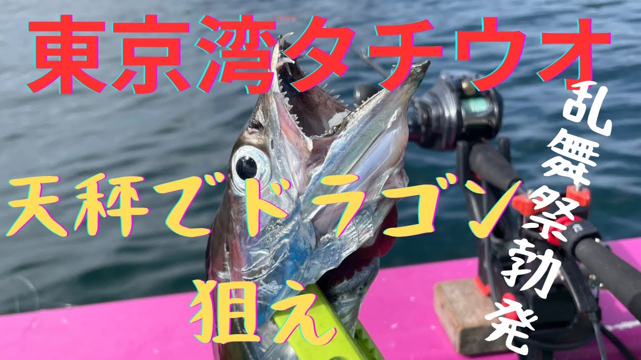 【爆釣】東京湾　タチウオ　天秤でドラゴン狙え　　Short ver