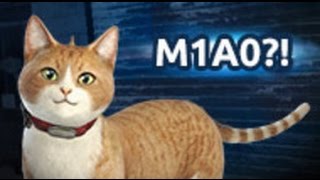 Skill SF2 - M1A0 Weapon Montage (Cat Gun)