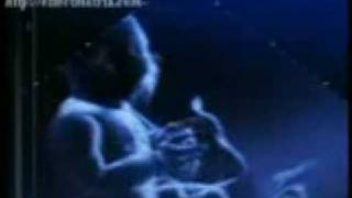 Funny Twins In Womb