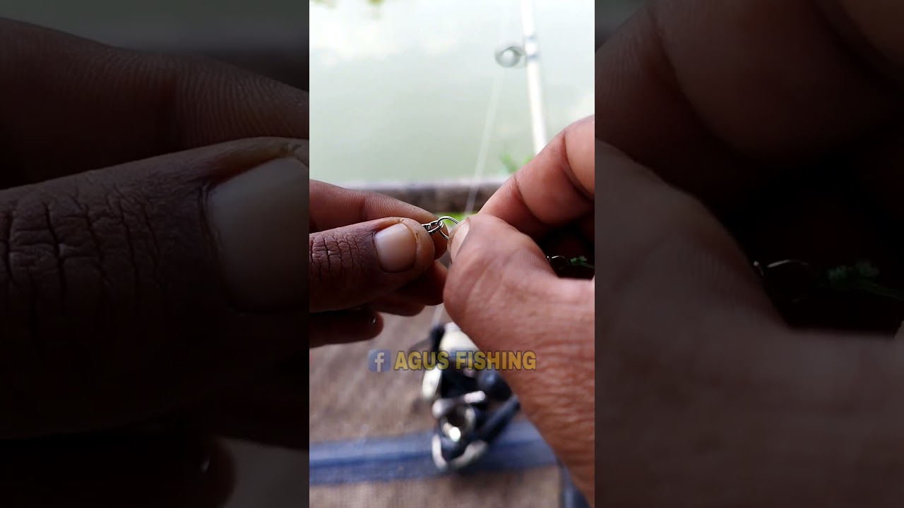 Easy Tips for Fishing 