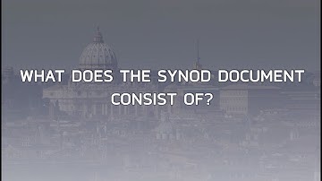 Seven keys to the Synod