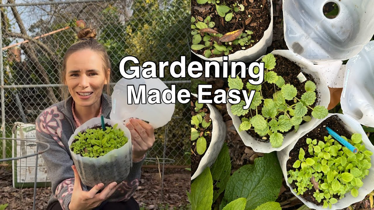 Winter Sowing Results: How to grow flowers the EASY way!