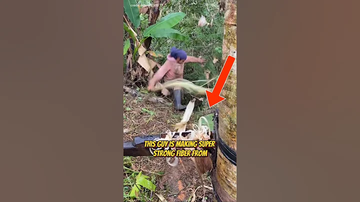 The World's Strongest Natural Fiber #plants #farming