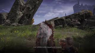 #Elden Ring|Shawdo of The Erdtree NG+6