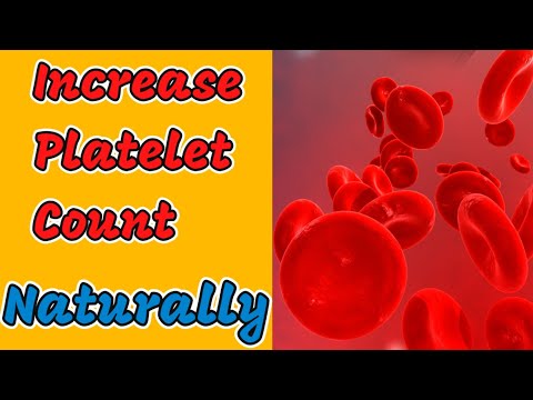 वीडियो: अपने रक्त प्लेटलेट स्तर को कैसे बढ़ाएं: क्या प्राकृतिक उपचार मदद कर सकते हैं?