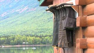 Hunt Masters: 2011 Alaska Moose