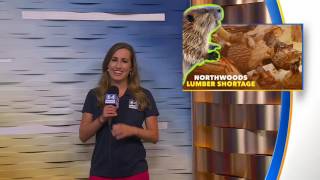 State Fair Experience Day 7 Session 17