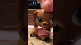 ☕️🐾 #lps #littlestpetshop #littlestpetshopvideo #littlestpetshops #cozy #cafe #fyp #fypシ
