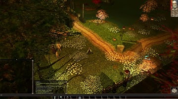 Alangara Rising - Introduction to our NWN(EE) persistent world!