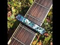 Mexican Greenheart Abalone Thalia Capo