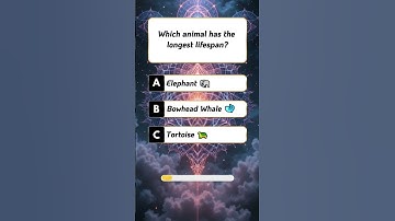 Brain Teasers that Will Stump You!#riddle  #brainteaser  #puzzle #challenge  #mindgame