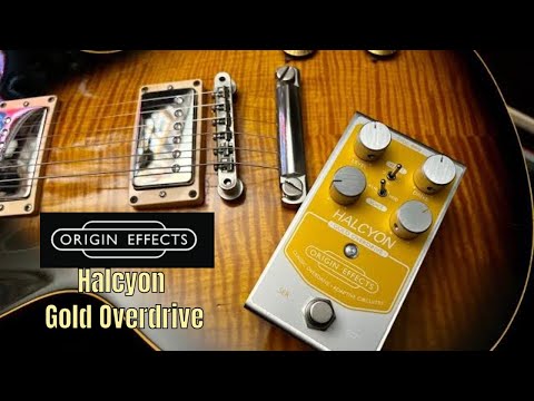 ORIGIN EFFECTS Halcyon Gold Overdrive 限定 Halcyon Gold Overdrive – Origin Effects