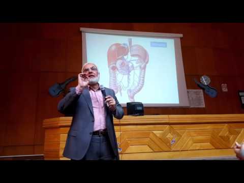 Anatomy Dr Hassan Serry portal vain