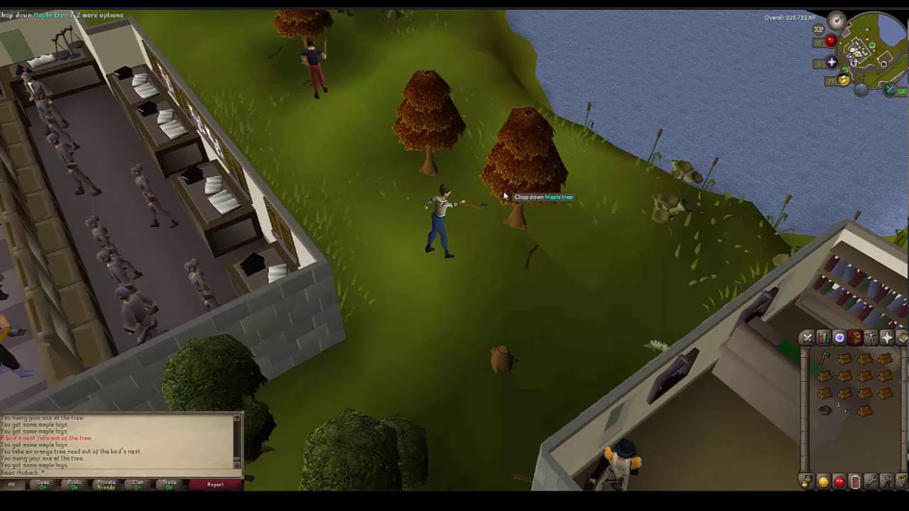 OldSchool RuneScape Wood Cutting lvl 54 Where's the beaver? YouTube