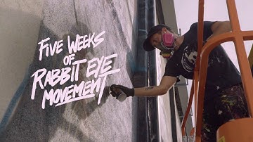 Five Weeks of Rabbit Eye Movement