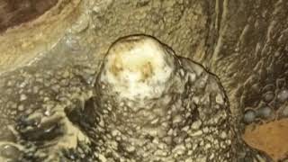 The Most Disappointing Waterfall Ever Ruby Falls 2016 Cave in Chattanooga Tennessee
