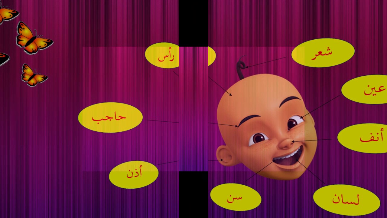 Mari Belajar Anggota Badan Dalam Bahasa Arab - YouTube