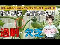 【トマトの栽培】肥料､微量要素の過剰･欠乏