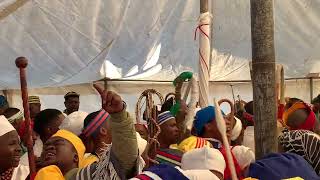 Kenale modisa - Bishop Nando