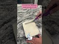 Tres Leches Cake 