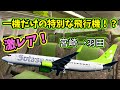ソラシドエアの激レア機に搭乗‼️宮崎→羽田搭乗レビュー！＃ソラシドエア