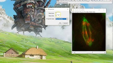 ImageJ Tutorial:  How to merge z stack slices into one
