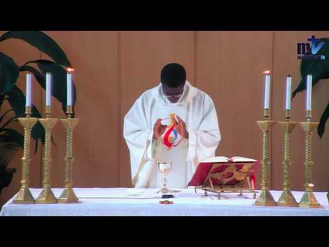 La Sainte Messe du jour | S. Jérôme, prêtre et docteur de l'Eglise | 30-09-2026 | P. Sylvestre B. FM