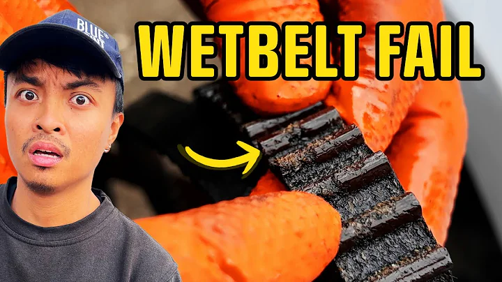 FORD 'WET BELT ' TROUBLE | 2019 FORD FIESTA SAVED FROM COMPLETE ENGINE FAILURE | SHOULD YOU BUY?