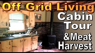 OFF GRID SUSTAINABLE LIVING.  Cabin Tour And Meat Harvesting. Wilderness Living Vlog 162