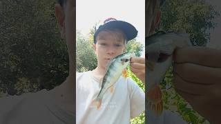 окунь на опарыша в парке Горького #рыбалканафидер #fishing #рыбалканаозере #рыбалка #рыба #окунь